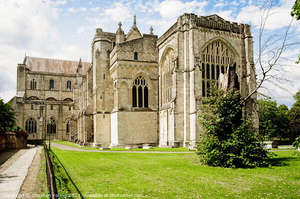 Winchester Cathedral Picture Board by Stephen Young