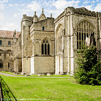 Buy canvas prints of Winchester Cathedral by Stephen Young