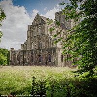 Buy canvas prints of Winchester Cathedral by Stephen Young