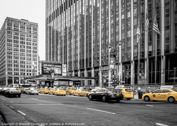 Yellow Cabs New York Picture Board by Stephen Young