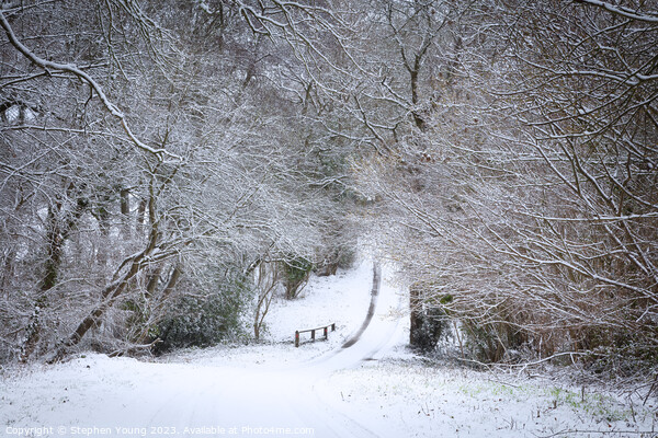 Winter's Whisper: English Countryside Lane Picture Board by Stephen Young