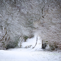 Buy canvas prints of Winter's Whisper: English Countryside Lane by Stephen Young