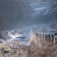Buy canvas prints of Rural North Hampshire Winter Path by Stephen Young