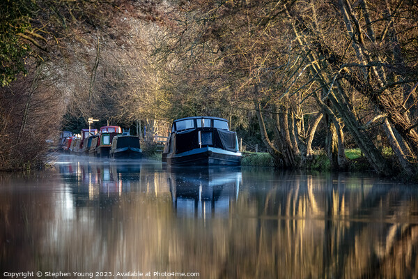 Winter's Embrace: Canal's Golden Hour Picture Board by Stephen Young
