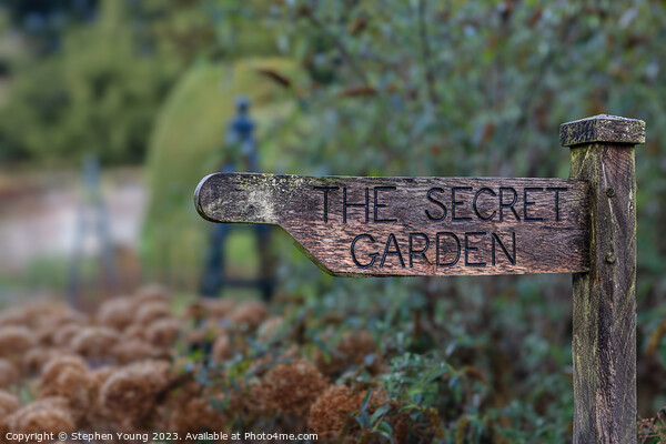 The Secret Garden Picture Board by Stephen Young