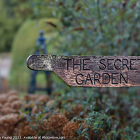 Buy canvas prints of The Secret Garden by Stephen Young