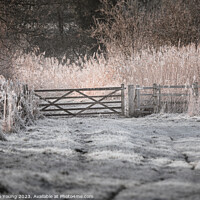 Buy canvas prints of Winter Countryside by Stephen Young