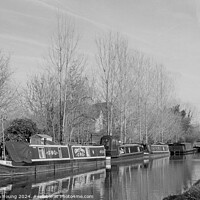 Buy canvas prints of Aldermaston Wharf and The Kennet and Avon Canal in Winter by Stephen Young