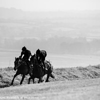 Buy canvas prints of Race Horse Training Watership Down by Stephen Young