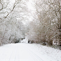 Buy canvas prints of Countryside Winter by Stephen Young