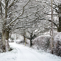 Buy canvas prints of Rural Countryside Winter Lane by Stephen Young