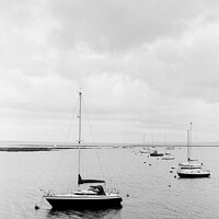 Buy canvas prints of Tranquil Waters: A Black & White Stud by Stephen Young
