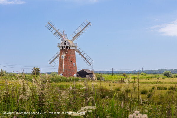 Horsey Windpump Norfolk Broads Landscape Picture Board by Stephen Young