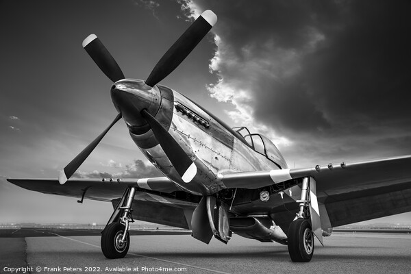 mustang p51 Picture Board by Frank Peters