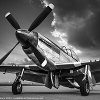 Buy canvas prints of mustang p51 by Frank Peters