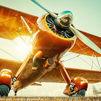 Buy canvas prints of biplane by Frank Peters