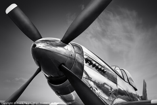 mustang p51 Picture Board by Frank Peters