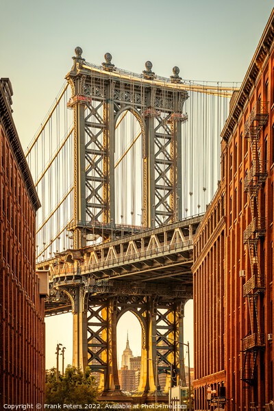 manhattan bridge, new york Picture Board by Frank Peters