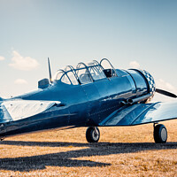 Buy canvas prints of north american t6 by Frank Peters