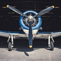 Buy canvas prints of warbird by Frank Peters