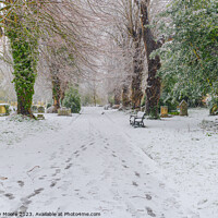 Buy canvas prints of Footsteps In The Snow. by Anthony Moore