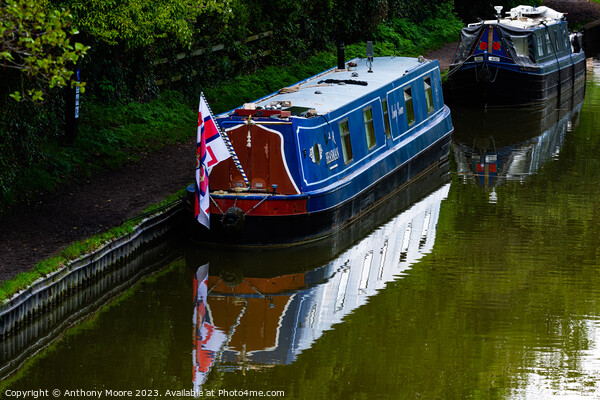 Moored on The Grand Union Canal at Braunston. Picture Board by Anthony Moore