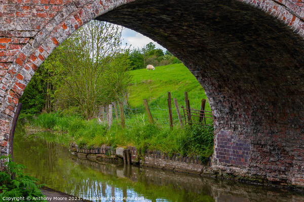 Bridge No.1 Grand Union Canal. Picture Board by Anthony Moore