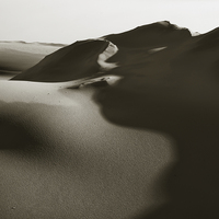 Buy canvas prints of Dune And Shadow by David Roossien