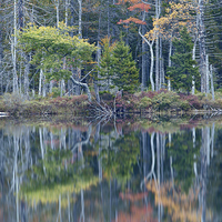 Buy canvas prints of Reflection, Maine by David Roossien
