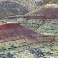 Buy canvas prints of Painted Hills of Oregon by David Roossien