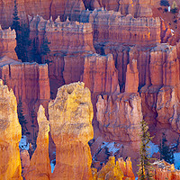 Buy canvas prints of Far and Near, Bryce Canyon National Park by David Roossien