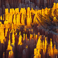 Buy canvas prints of Silent City, Bryce Canyon National Park by David Roossien