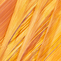 Buy canvas prints of Navajo Sandstone, Coyote Buttes Utah by David Roossien