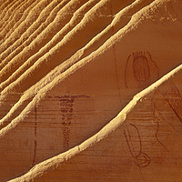 Buy canvas prints of Fins and Petroglyphs, Buckhorn Wash, Utah, USA by David Roossien