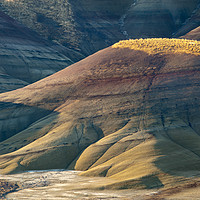 Buy canvas prints of Painted Shadows, Painted Hills of Oregon, USA by David Roossien