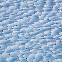 Buy canvas prints of Glacial Melt, Joffre Lakes Provincial Park by David Roossien