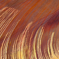 Buy canvas prints of Sunlit Sandstone Ridges, Coyote Buttes, Utah, USA by David Roossien