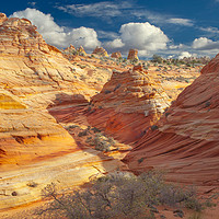 Buy canvas prints of Sandstone Wash, Coyote Buttes, Southern Utah, USA by David Roossien