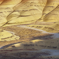 Buy canvas prints of Sunlit Valley, Painted Hills, Oregon, USA by David Roossien