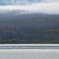Buy canvas prints of Lake McDonald Layers, Glacier National Park, Monta by David Roossien
