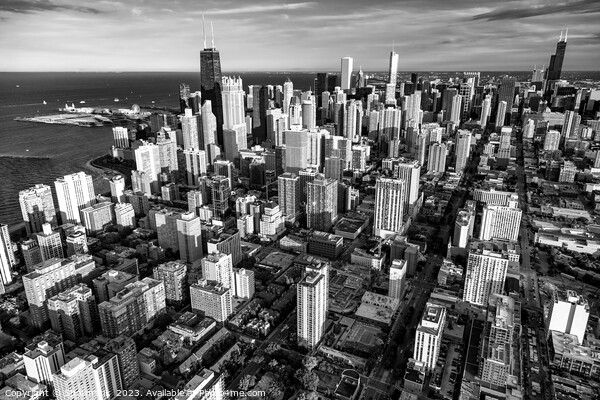 Aerial Chicago cityscape downtown skyscrapers  Picture Board by Spotmatik 