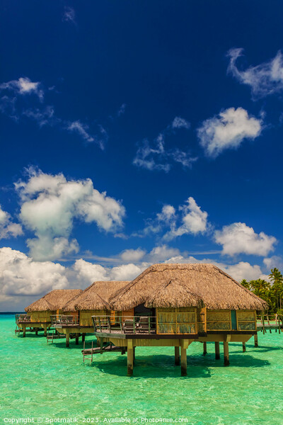 Overwater luxury Bungalows in tropical Bora Bora resort Picture Board by Spotmatik 