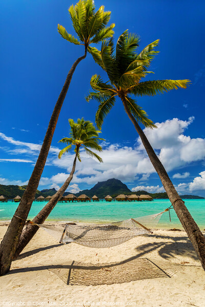 Bora Bora beach hammock luxury Overwater resort Bungalows  Picture Board by Spotmatik 