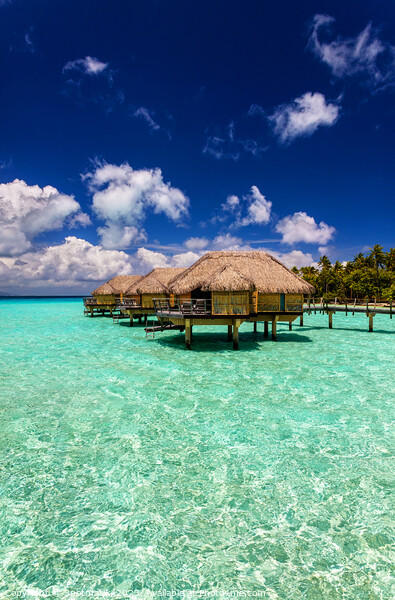 Bora Bora Island Overwater luxury resort Bungalows Polynesia Picture Board by Spotmatik 