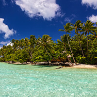 Buy canvas prints of Bora Bora Palm trees tropical luxury vacation resort by Spotmatik 