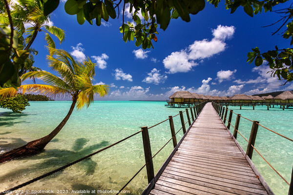 Bora Bora South sea luxury resort Overwater bungalows  Picture Board by Spotmatik 