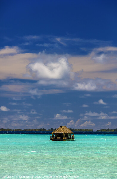 Aquamarine lagoon Bora Bora Overwater luxury Bungalow Polynesia Picture Board by Spotmatik 