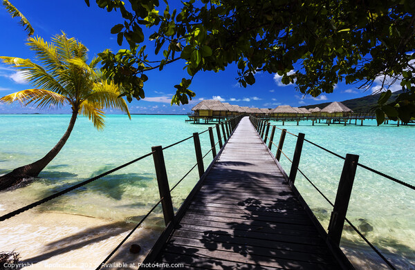 Bora Bora Island walkway jetty Overwater luxury Bungalows  Picture Board by Spotmatik 