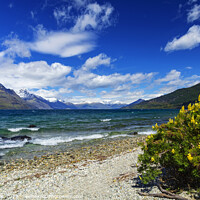 Buy canvas prints of Lake Wakatipu Queenstown outdoor travel tourism adventure region by Spotmatik 
