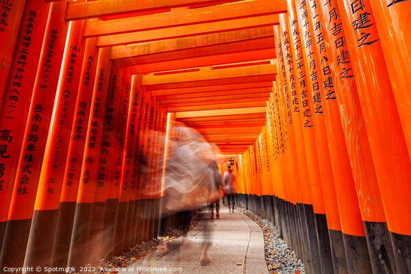 Japan Buddhist temple Torii gates Taisha sacred sh Picture Board by Spotmatik 
